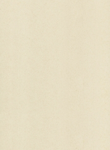 Polar Beige